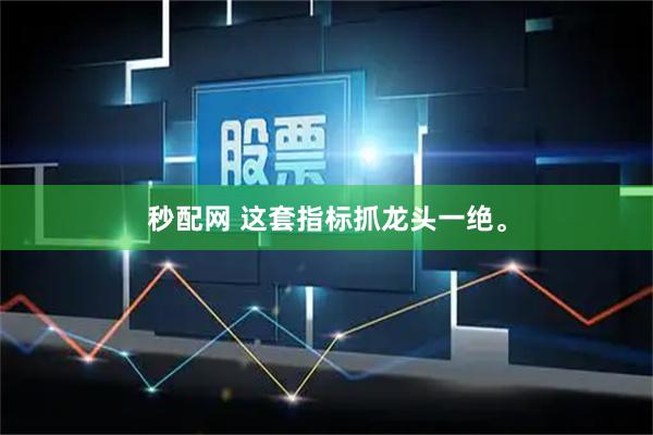 秒配网 这套指标抓龙头一绝。